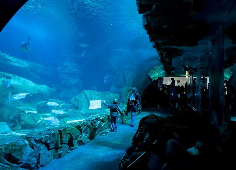 Aquarium de Paris - Bilietai, laikas ir Patarimai