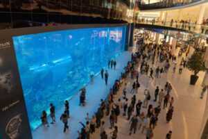 Dubajaus akvariumas - Bilietai, laikas ir Patarimai